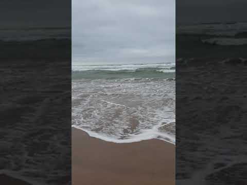 Flojo and the lucksta