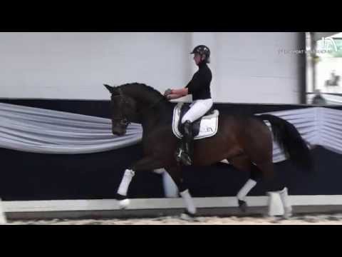 Fidertanz x Feinbrand