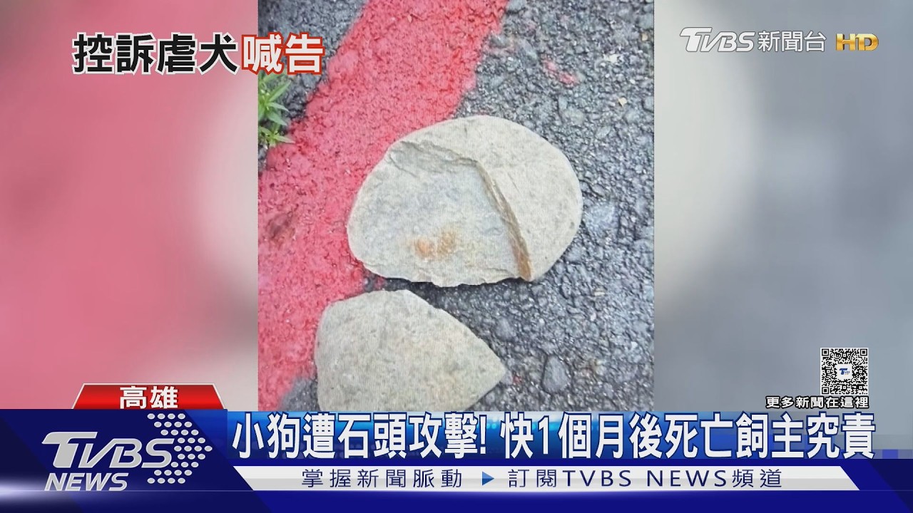 影音／小狗被攻擊快一個月後死亡！　民眾指控里長先生施暴