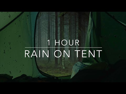 Rain on Tent Sounds for Sleep - 1 hour rain sound - Camping in the rain