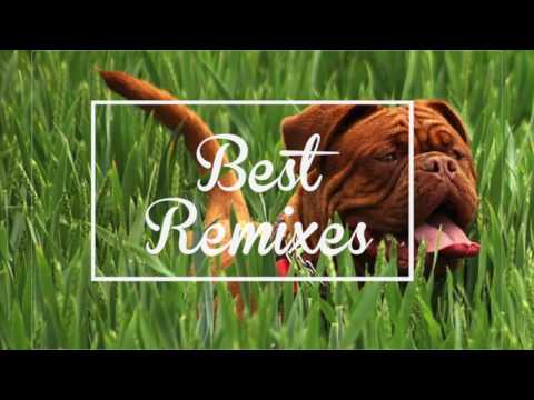 SRTW ft. Charity Children - Whispering Still (Little Rose Remix)