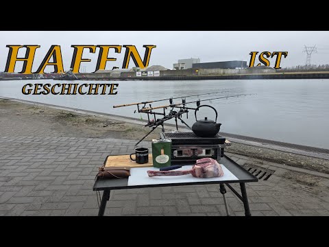 The harbor is history for me, I'm out 🥴🥴🥴 #predatorfishing #outdoors #fishing #angel #deadbait