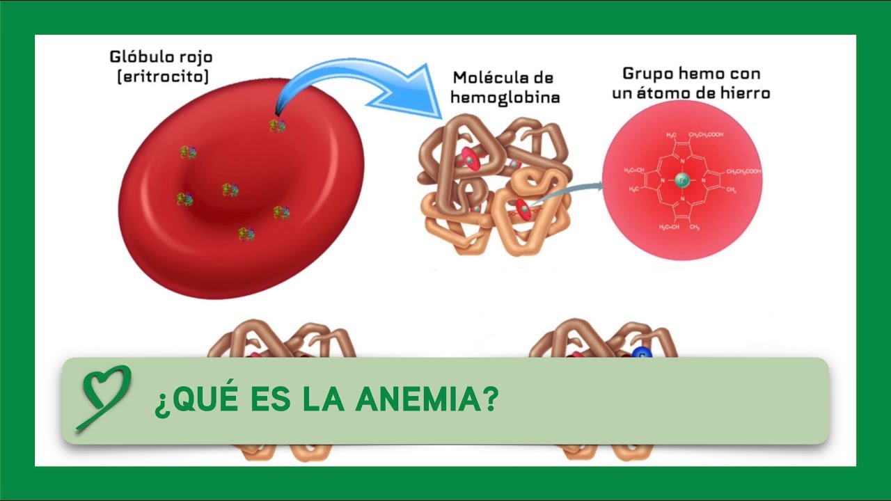 Pilar Fernandez-Montesinos Aniorte-5