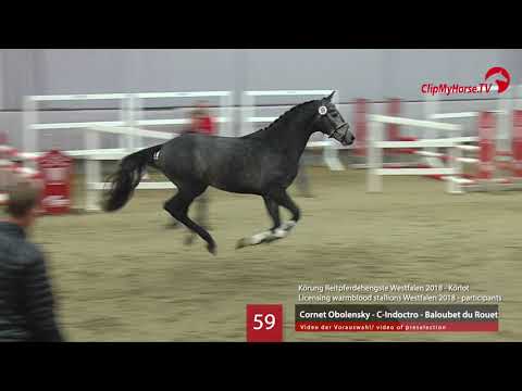 59 Hengst v. Cornet Obolensky - C- Indoctro - Baloubet du Rouet