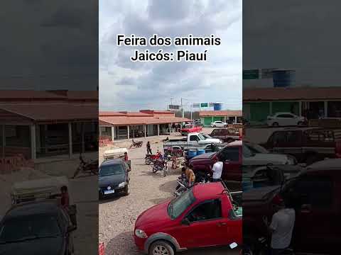 tradicional feira de Jaicós Piauí #feira #animais #preços #vendedor #feiradeanimais