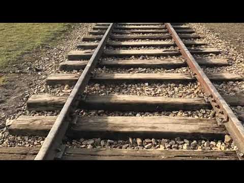 "In Memoriam" In ricordo delle vittime di Auschwitz