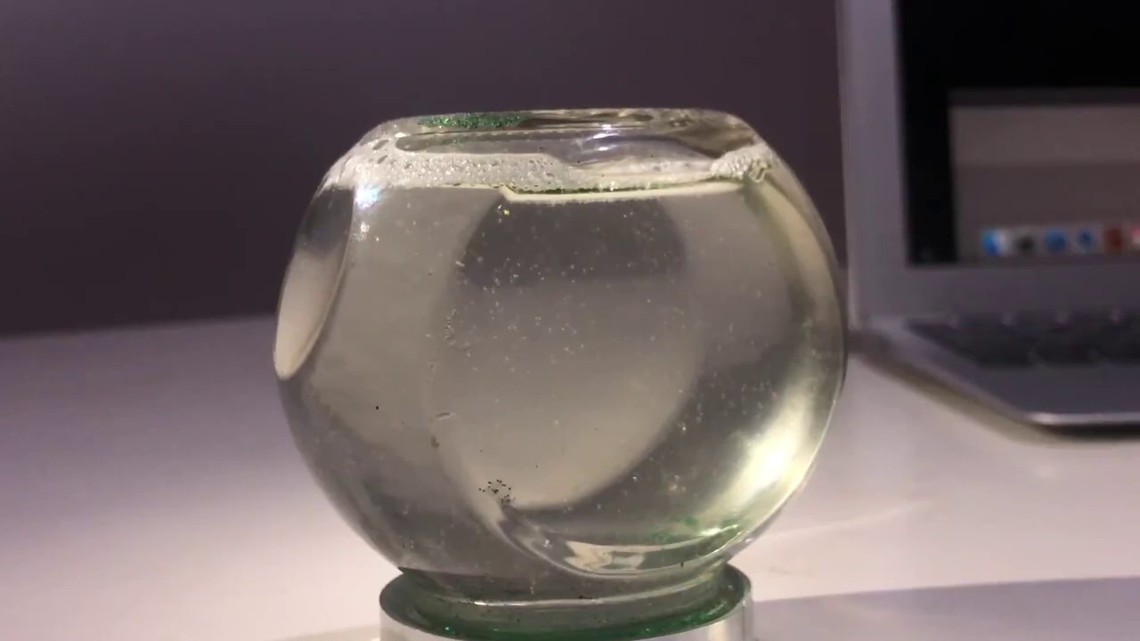 Claudia Rodríguez-15