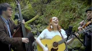 The Humboldt Live Sessions - The Blackberry Bushes Stringband (Revisited)