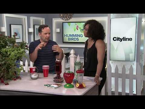 4 ways to attract hummingbirds to your garden