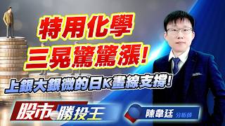 特用化學三晃驚驚漲 ! 上銀大銀微的日K畫線支撐 !#新應材 #三晃 #永光 #大銀微 #上銀 #佳能｜股市勝投王｜陳韋廷