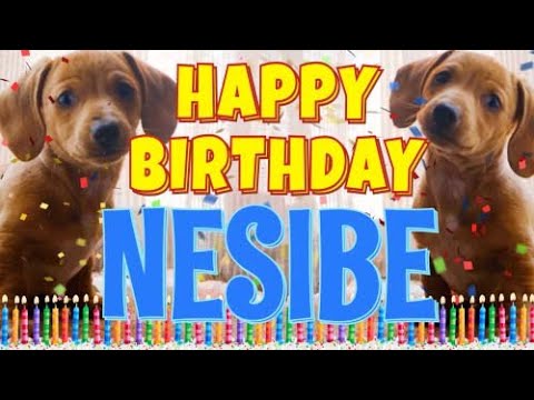 Happy Birthday Nesibe! ( Funny Talking Dogs ) What Is Free On My Birthday