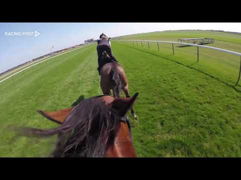 Qipco 2000 Guineas: Rajasinghe