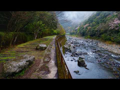 Rainy Walk along Abandoned Fukuchiyama Railway | Takedao, Japan 4K