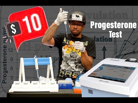 Wondfo FineCare Vet Progesterone Machine - How To Run At Home Progesterone Test For Dogs.