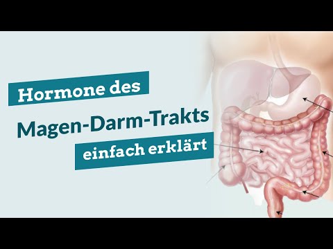 Hormones of the gastrointestinal tract explained simply! - Gastrointestinal Hormones | Physiology...