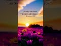 Ephesians 4:32. #bekind #forgive  #forgiveness #christisking