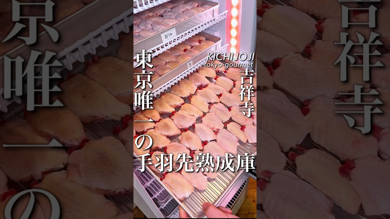 東京で唯一の手羽先熟成庫があるお店