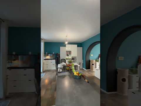 Vidéo