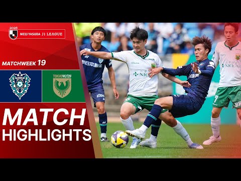 bg-highlight