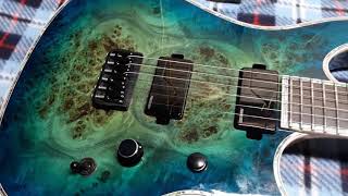 Video thumbnail for BC RICH Shredzilla EXTREME Exotic!! by G Sharpe