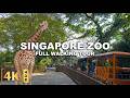 Full Tour At One Of The Best Zoos In Asia SINGAPORE ZOO 2025 All Animals And Shows Walking Tour
