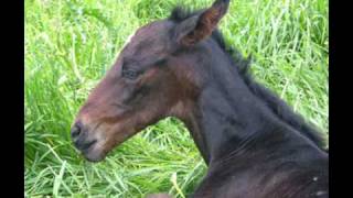 Melissa Etheridge - Nowhere To Go