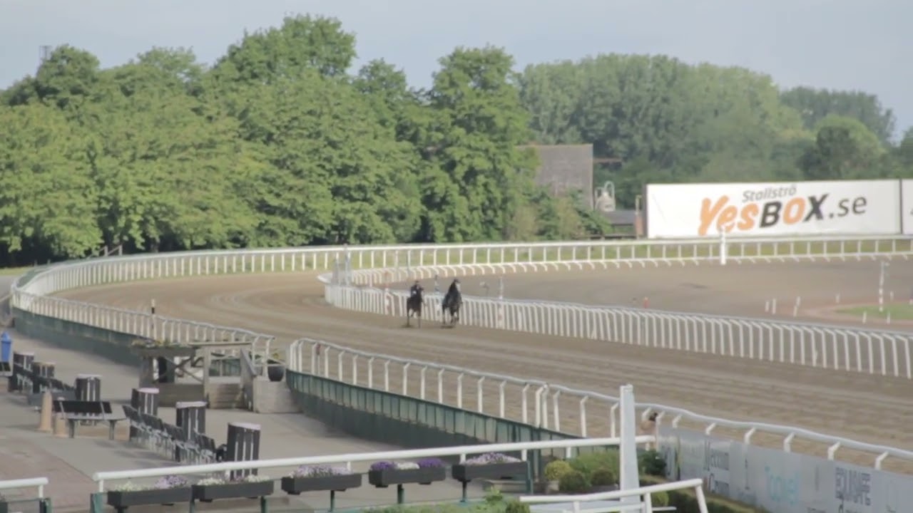 Guidetti och Come What May i ett lätt snabbjobb 4 juni.