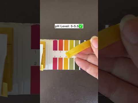 Testing pH level of Indian facewashes part 5 #shorts #youtubeshorts #skincare