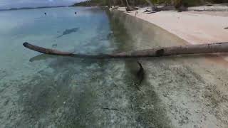 Drone Footage: Raroia, Tuanmotus, French Polynesia