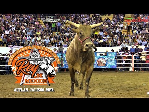 download lagu mp3 mp4 Toros, download lagu Toros gratis, unduh video klip Toros