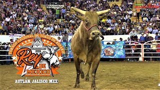 ¡TORNEO REY DE MÉXICO 2019! 28 TOROS EN EL TORNEO DE JARIPEO MAS IMPORTANTE DE MÉXICO
