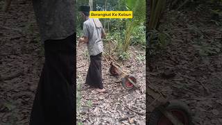 Download lagu Heading to the Garden - Hilarious #newmusic #oldschool mp3