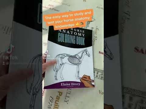 Study, learn and test your horse anatomy knowledge with this coloring book