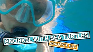 Magen's Bay: Snorkeling with SEA TURTLES in the US Virgin Islands