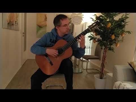 Till Veeh plays El Vito by José de Azpiazu on a classical guitar