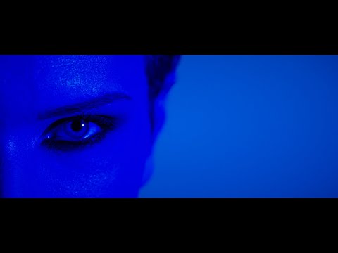 ZEBRA LOVA - Stay Alive