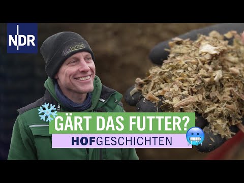 Bloß kein Schimmel: sind die Futtervorräte noch frisch genug? | Hofgeschichten (370) | NDR