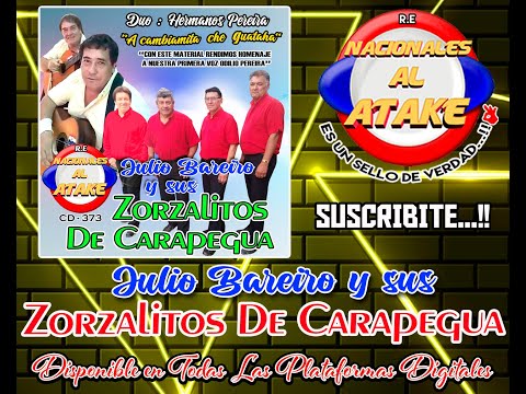JULIO BAREIRO Y SUS ZORZALITOS DE CARAPEGUA - DEL CORAZON CHE RODESEA