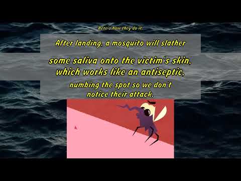 Rose Eveleth: The loathsome lethal mosquito