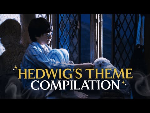 Every Time Hedwig's Theme Plays | Compilation | Harry Potter