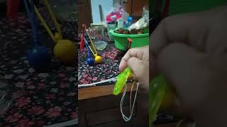 Download lagu Gasing Tarik, nostalgia for old-school toys mp3