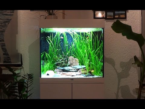 Watch Video on YouTube