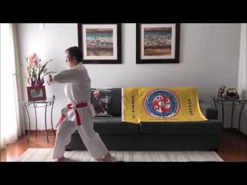 Kata Naihanchi Shodan