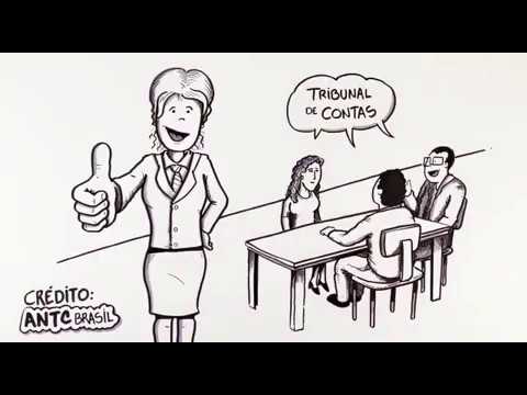 Auditor de Controle Externo - O que faz?