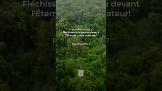Psaumes 95:6-7 Louis Segond #biblevision #labible