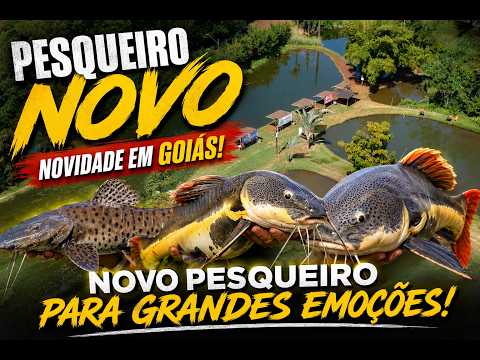 ACHAMOS UM NOVO PESQUEIRO EM GOIÁS! SERÁ QUE É BOM?