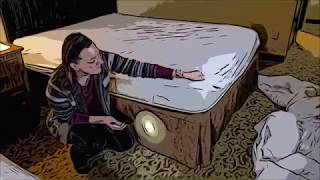 How to Check Your Hotel Room for Bed Bugs, Version 2