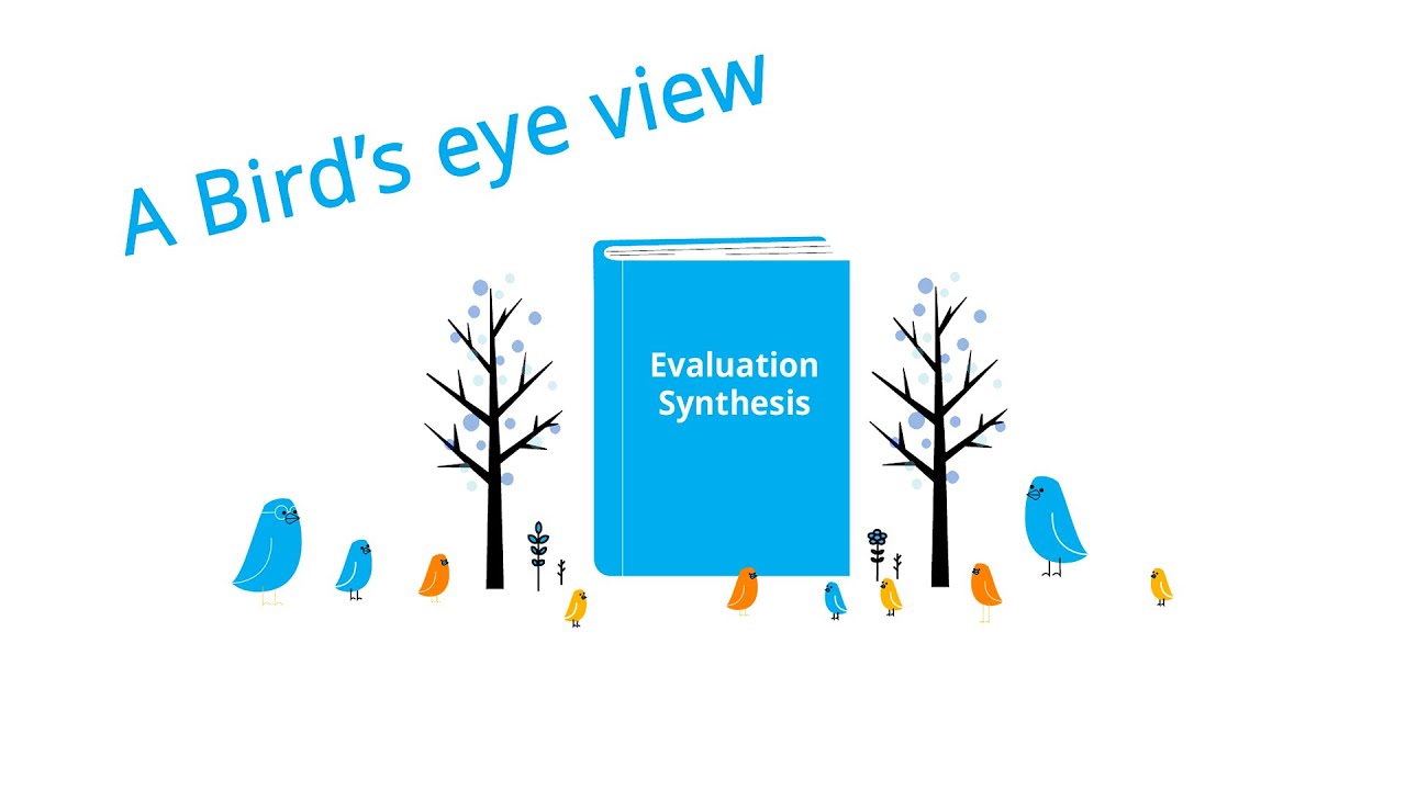 What Is an Evaluation Synthesis? A Simple Explanation