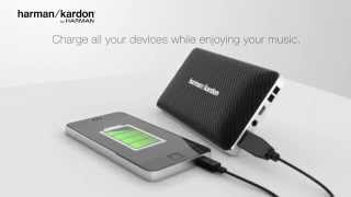 The Harman Kardon Esquire Mini Wireless Portable Speaker