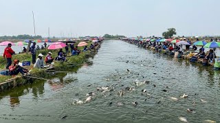Download lagu Full pemancing ..! Seperti mancing di aquarium , ikan terlihat jelas di atas permukaan , Tapi..?! mp3